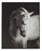 Archerwick Wall Art - Home Furniture And More (Brentwood, MD)