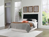 Danziar Bed - Home Furniture And More (Brentwood, MD)