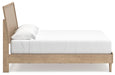 Cielden Bedroom Set - Home Furniture And More (Brentwood, MD)