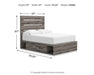 Graystorm Bed with Storage - Home Furniture And More (Brentwood, MD)
