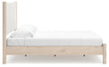 Cadmori Upholstered Bed - Home Furniture And More (Brentwood, MD)