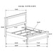 Caraway Panel Bed with LED Lighting - Home Furniture And More (Brentwood, MD)