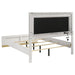 Caraway Panel Bed with LED Lighting - Home Furniture And More (Brentwood, MD)
