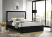 Caraway Panel Bed with LED Lighting - Home Furniture And More (Brentwood, MD)
