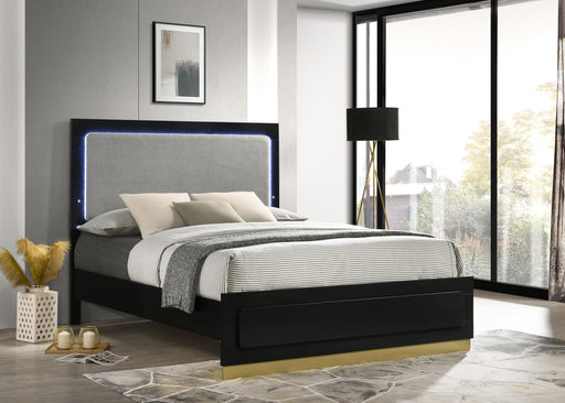 Caraway Panel Bed with LED Lighting - Home Furniture And More (Brentwood, MD)