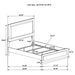 Caraway Panel Bed with LED Lighting - Home Furniture And More (Brentwood, MD)