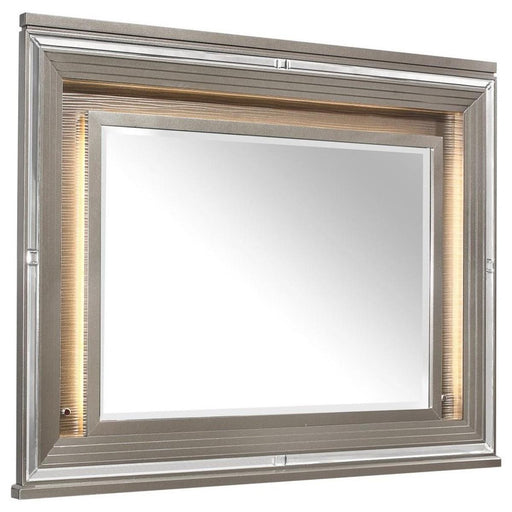 Tamsin Mirror in Silver Grey Metallic 1616-6 - Home Furniture And More (Brentwood, MD)