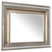 Tamsin Mirror in Silver Grey Metallic 1616-6 - Home Furniture And More (Brentwood, MD)