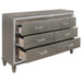 Tamsin Dresser in Silver Grey Metallic 1616-5 - Home Furniture And More (Brentwood, MD)