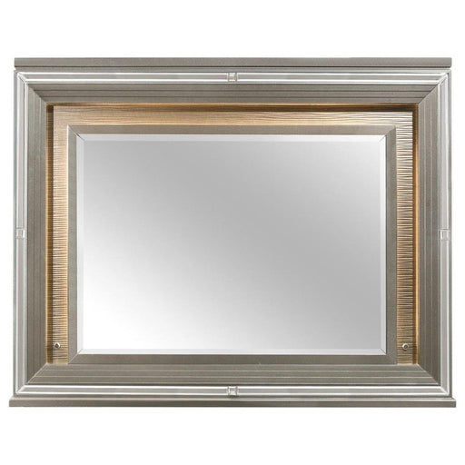 Tamsin Mirror in Silver Grey Metallic 1616-6 - Home Furniture And More (Brentwood, MD)