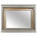 Tamsin Mirror in Silver Grey Metallic 1616-6 - Home Furniture And More (Brentwood, MD)