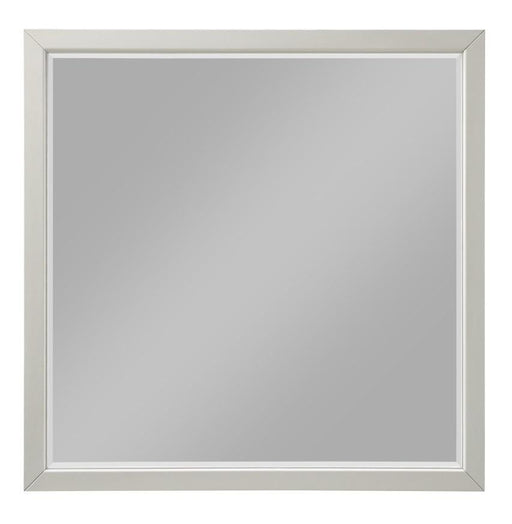 Wellsummer Mirror in Gray 1803GY-6 - Home Furniture And More (Brentwood, MD)
