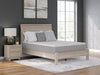Terra Sleep Medium Mattress - Home Furniture And More (Brentwood, MD)